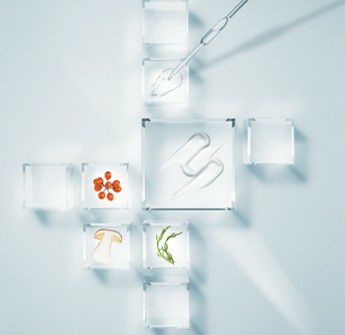 ハイドラヒアルロ4 ハイドラ プランピングマスク | ソティス e-ブティック