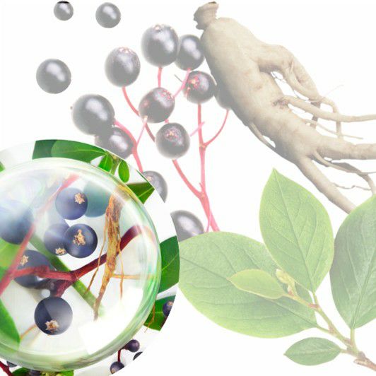 DXエナジー ファンデーション | ソティス e-ブティック