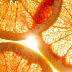 イルミネーティング マネジメント イルミネーティング フォーカス